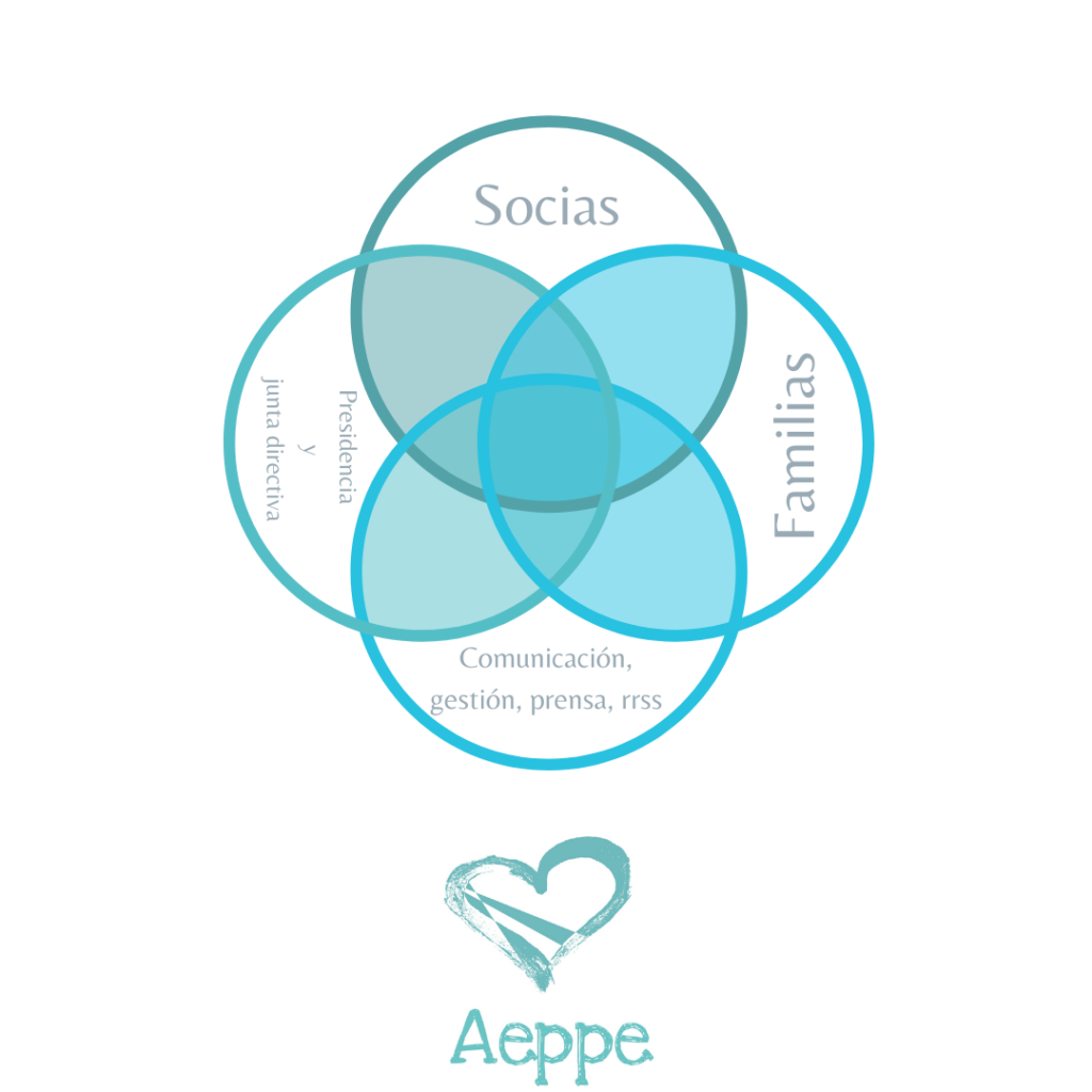 organigrama aeppe